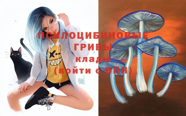 герыч Абинск