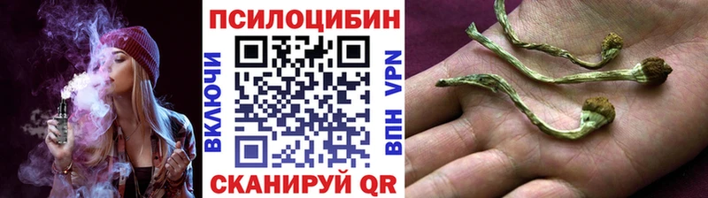 Галлюциногенные грибы прущие грибы цена Абаза